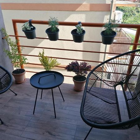 Koko Apartman Vrnjačka Banja Eksteriør billede