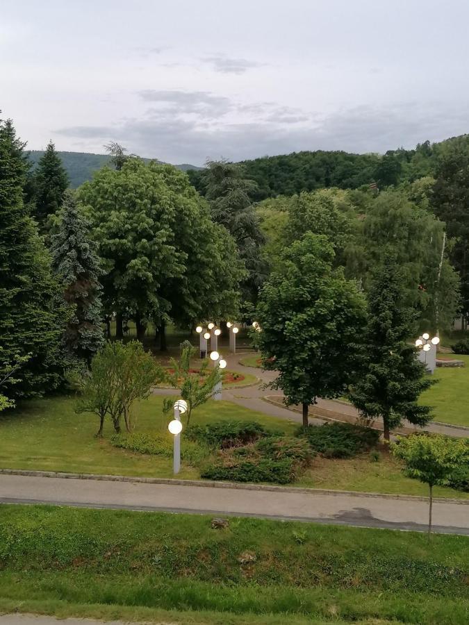 Koko Apartman Vrnjačka Banja Eksteriør billede