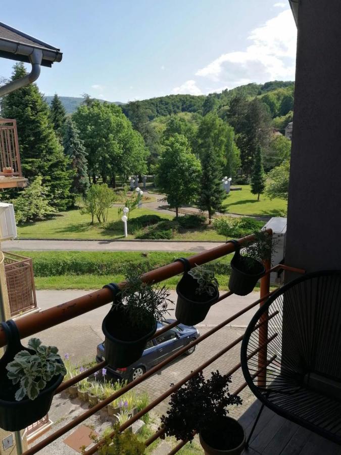 Koko Apartman Vrnjačka Banja Eksteriør billede