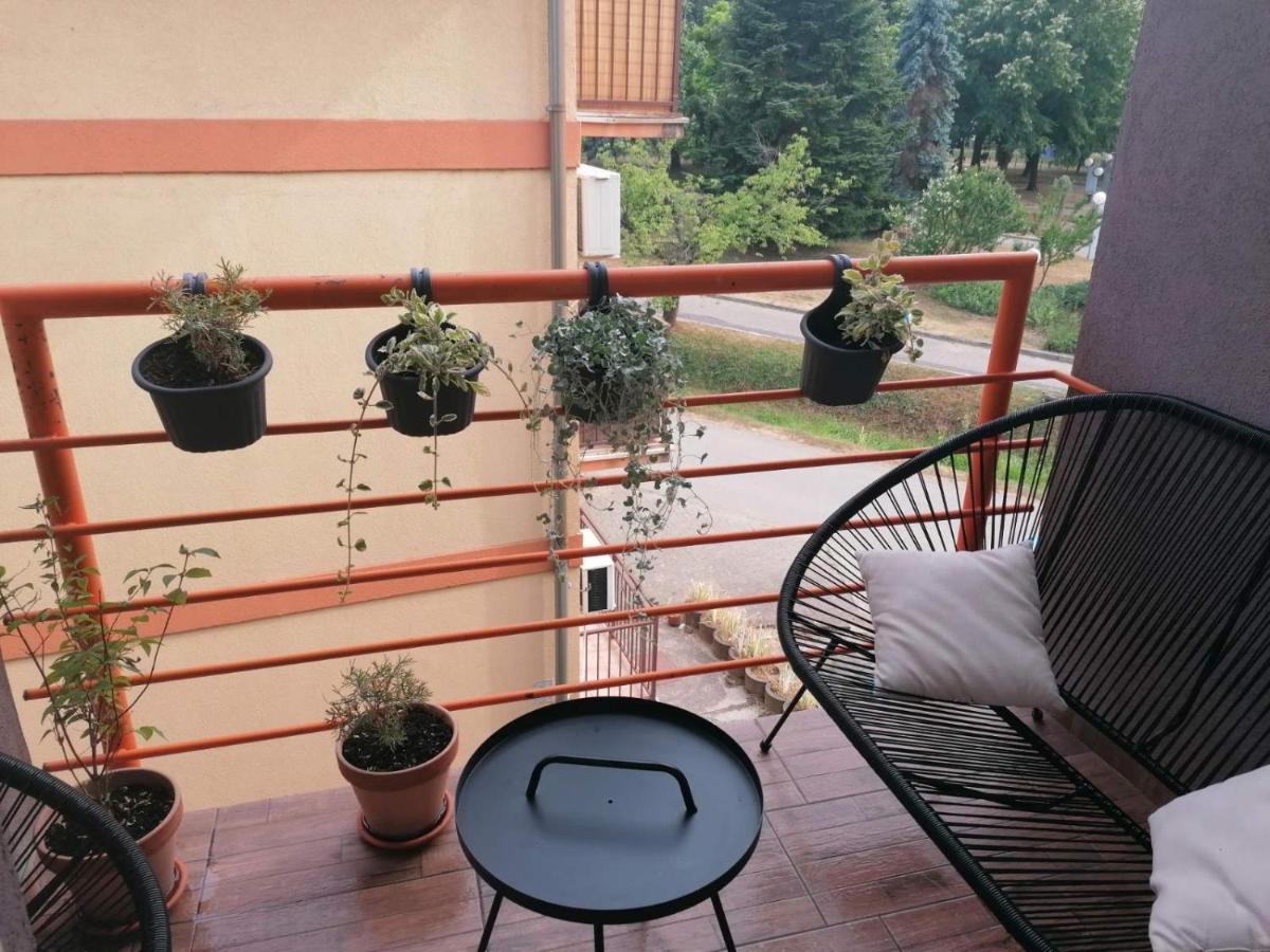 Koko Apartman Vrnjačka Banja Eksteriør billede
