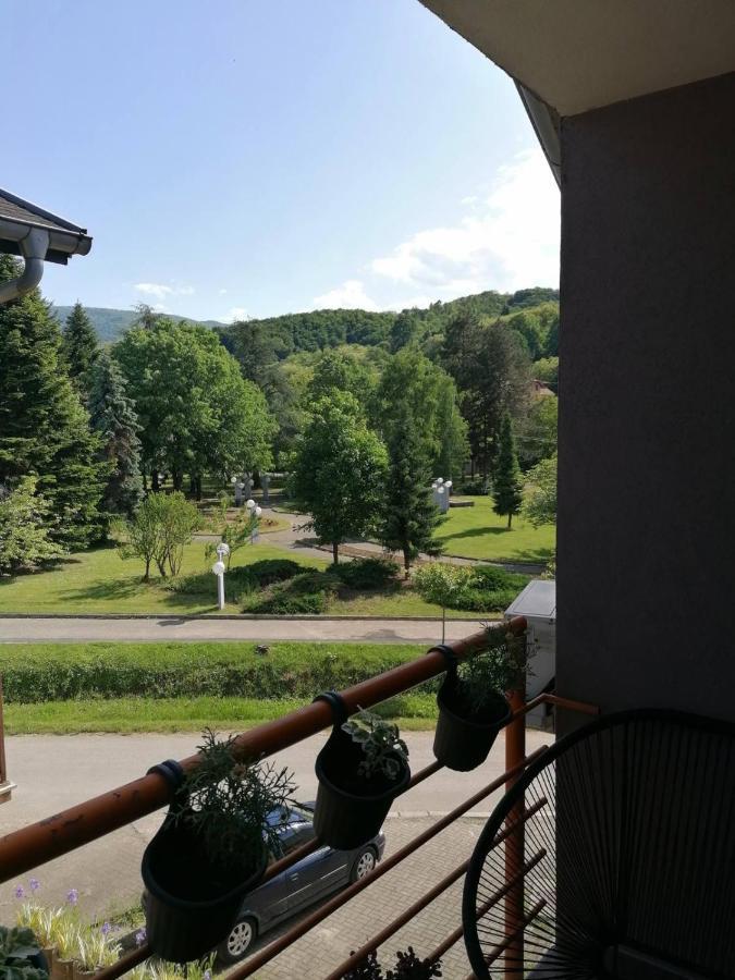 Koko Apartman Vrnjačka Banja Eksteriør billede